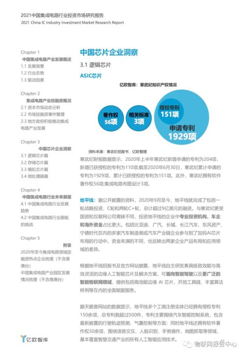2021年中國(guó)集成電路設(shè)計(jì)行業(yè)投資市場(chǎng)研究報(bào)告