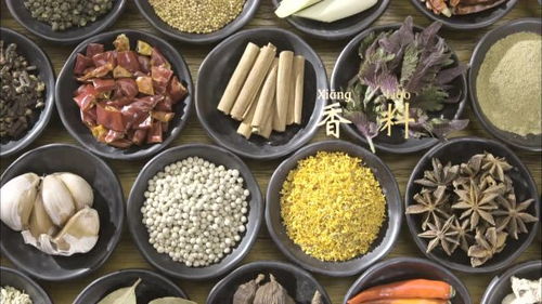 第5集 香料 老廣們食材烹飪的神來之筆